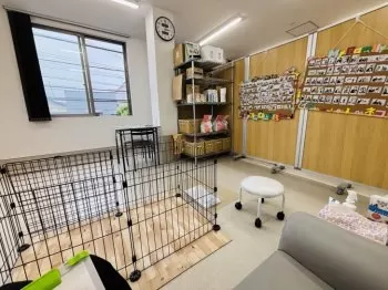PREPTAKA 様のお迎えした子犬