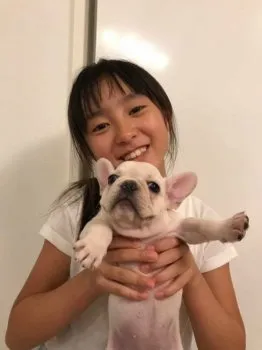 ニッパー 様のお迎えした子犬