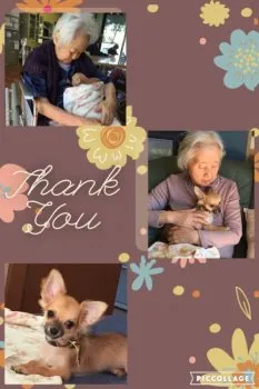 ゴン太ママ 様のお迎えした子犬