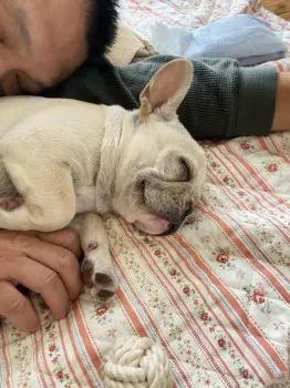MH 様のお迎えした子犬