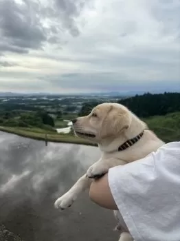 A.A 様のお迎えした子犬