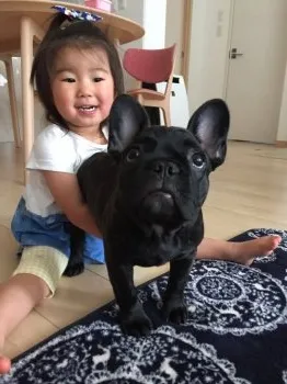 かな 様のお迎えした子犬