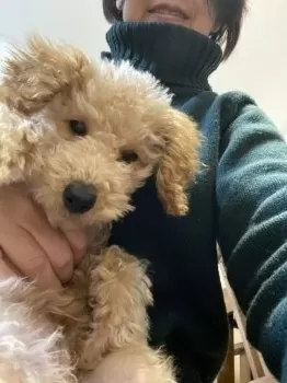 E.T 様のお迎えした子犬