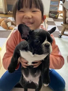 サザエ 様のお迎えした子犬