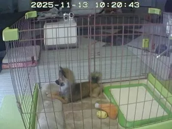 M.M 様のお迎えした子犬