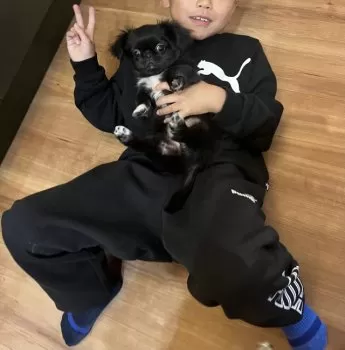 あんちゃん 様のお迎えした子犬
