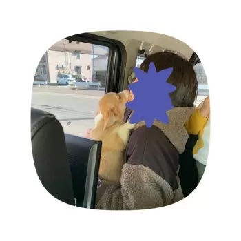 ララ 様のお迎えした子犬