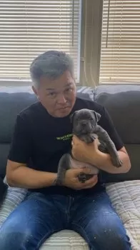 のぶゆき 様のお迎えした子犬