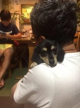 ロクヨン 様のお迎えした子犬