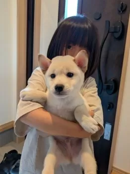 H.T 様のお迎えした子犬