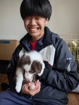 あらっちょ 様のお迎えした子犬