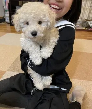 MY 様のお迎えした子犬