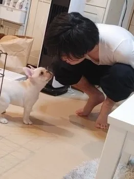 はなぺちゃ 様のお迎えした子犬