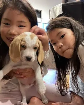 kaokitty 様のお迎えした子犬