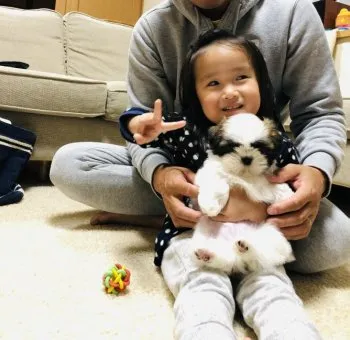 エグ 様のお迎えした子犬