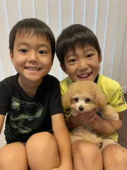 りなこ 様のお迎えした子犬