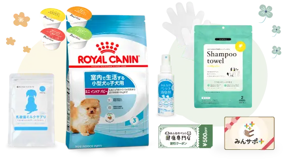 豪華成約特典を無料でプレゼント