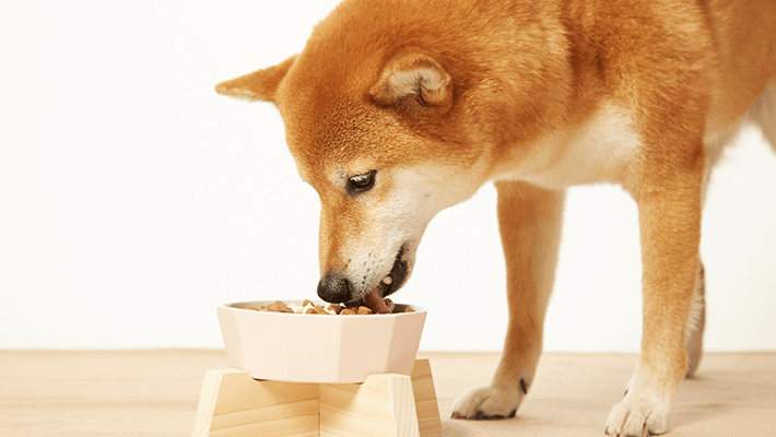 健康を第一に考えた製品を