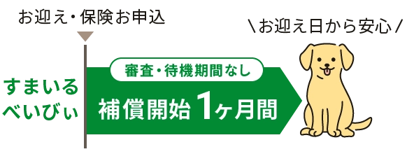 お迎え日から安心