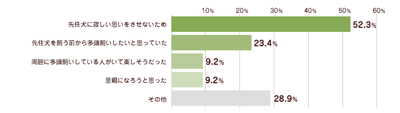 多頭飼いしようと思ったきっかけ統計グラフ