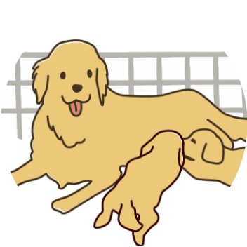 デリケートな親犬がいる犬舎