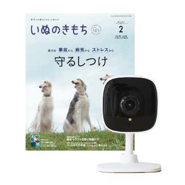 いぬのきもち