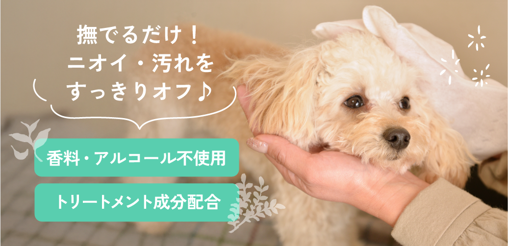 シャンプータオル紹介
