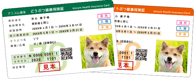 ペット健康保険証