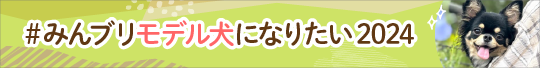 ＃みんブリモデル犬になりたい2024