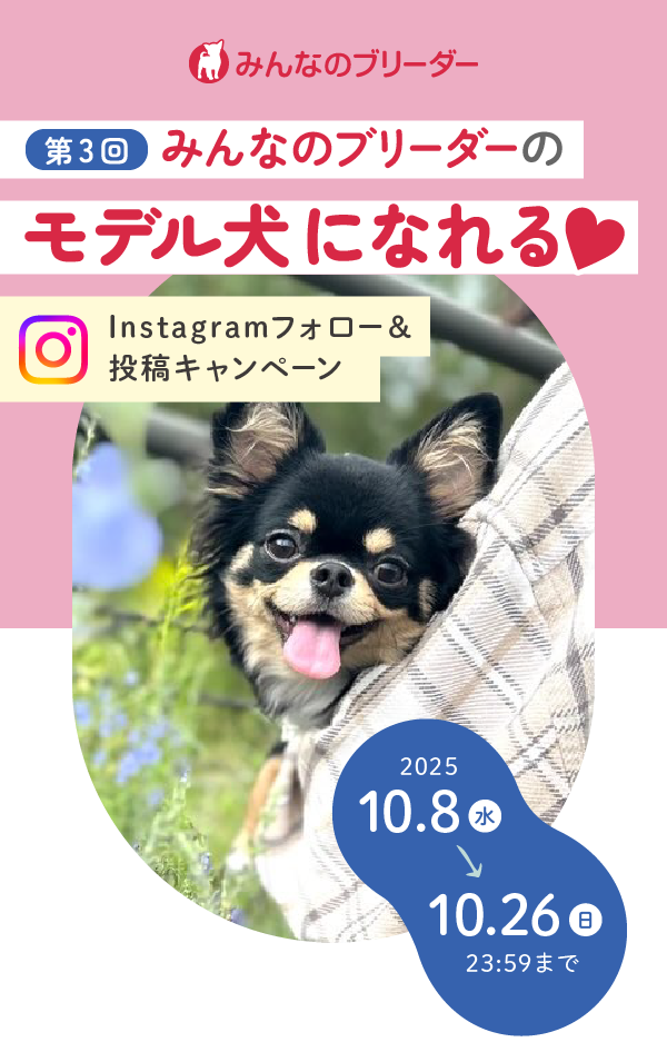 『みんなのブリーダー』のモデル犬になれる！ Instagramフォロー＆投稿キャンペーン