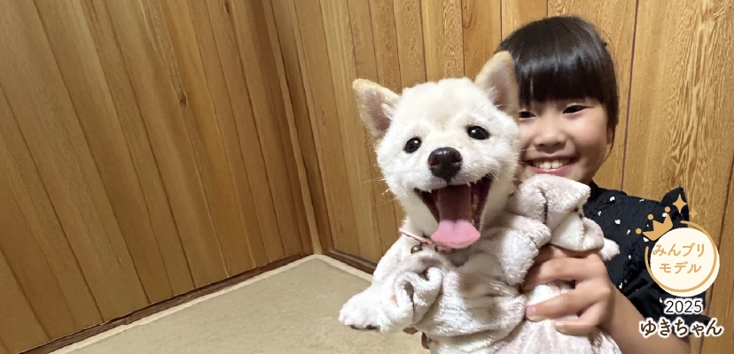 みんなのブリーダー - 優良ブリーダー直販の子犬販売サイト